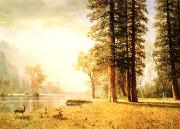 Albert Bierstadt Hetch Hetchy Valley oil painting artist